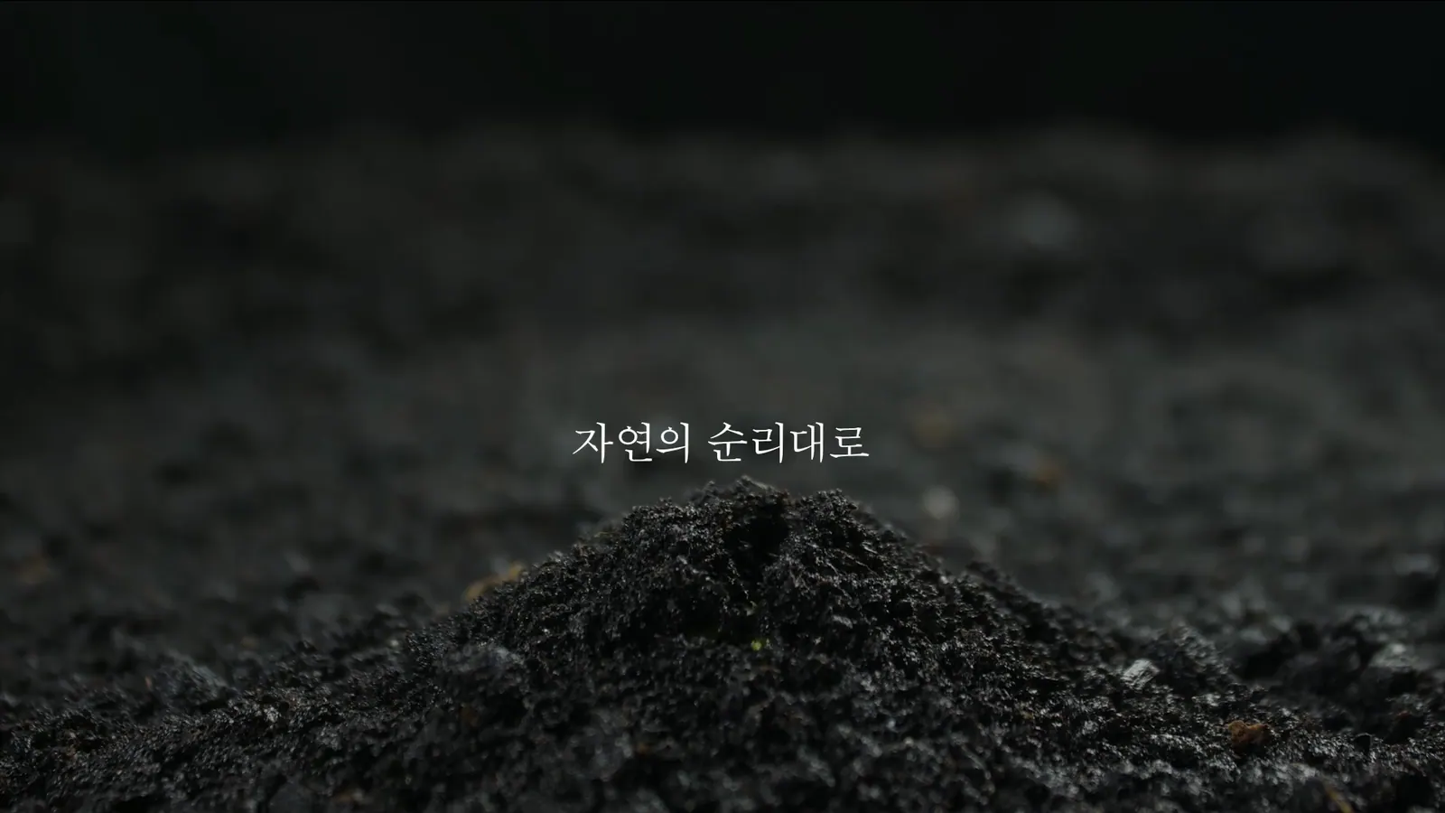 BAENAMUSIL 브랜드 필름에서 선별한 대표 장면