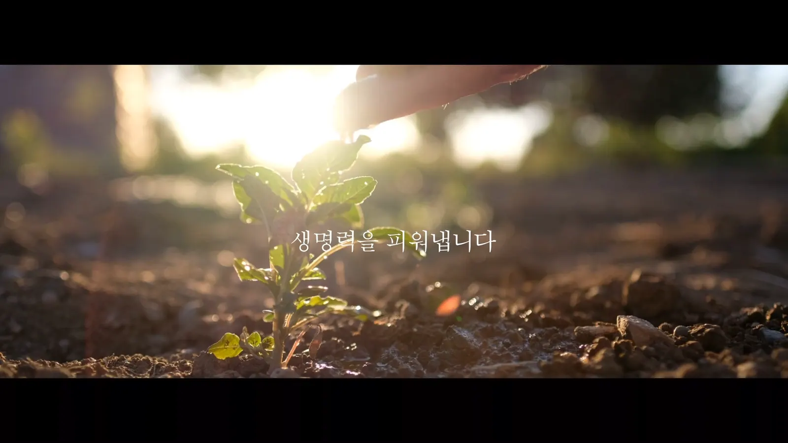 BAENAMUSIL 브랜드 필름 2번째 장면