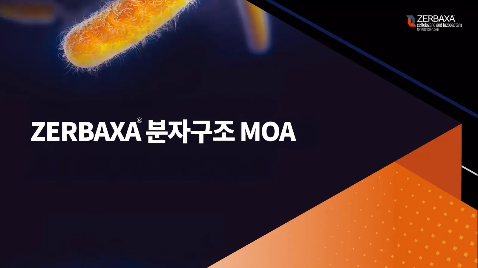 DR. JEO 기술 소개 영상에서 선별한 대표 장면