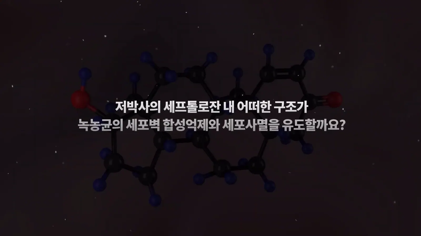 DR. JEO 기술 소개 영상 주요 장면 2