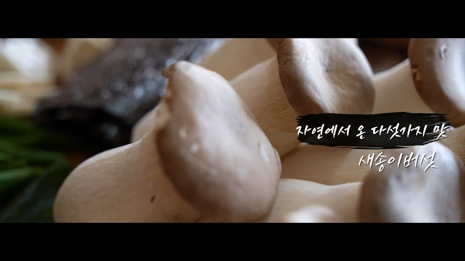 NANUM 브랜드 필름 대표 장면