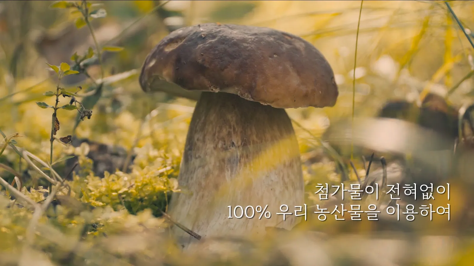 NANUM 제품 소개 영상에서 선별한 대표 장면