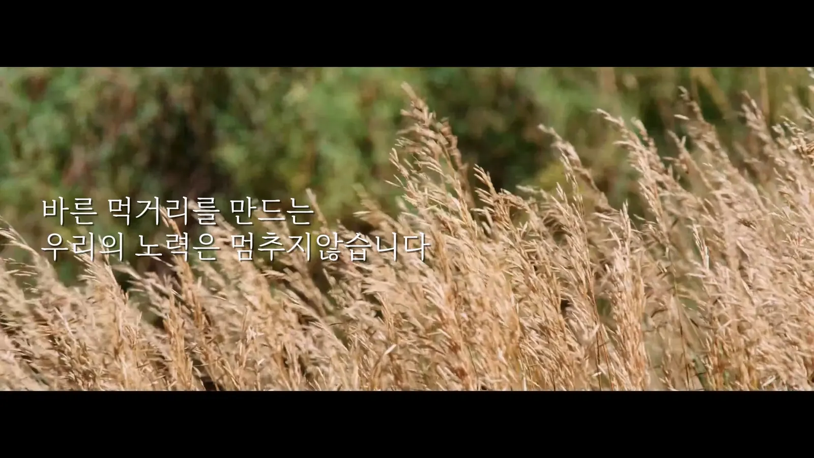 NANUM 제품 소개 영상 주요 장면 2