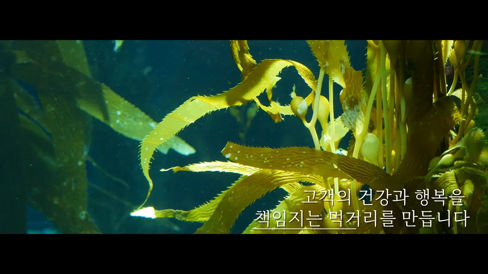 NANUM 제품 소개 영상 주요 장면 3