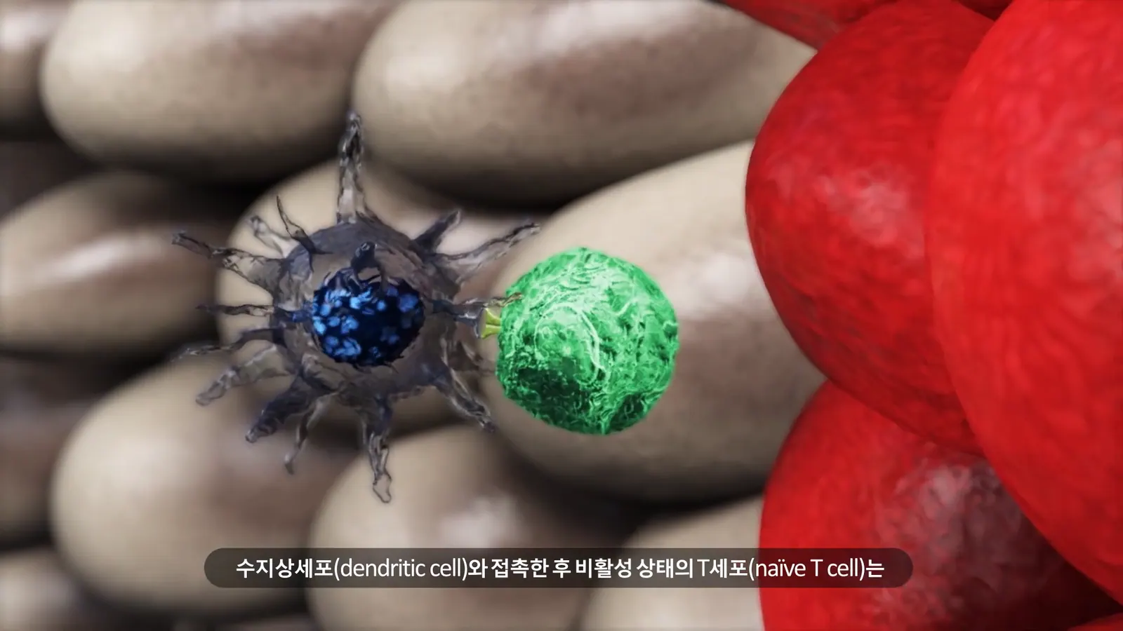 VT BIO 기술 소개 영상 대표 장면